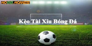 Kèo tài xỉu