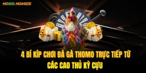 Đá gà thomo trực tiếp