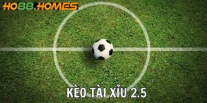 Tài Xỉu 2.5