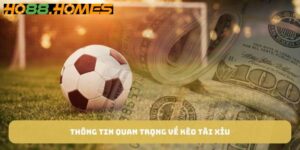 tài xỉu bóng đá
